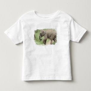 T-shirts Elefante bebê seguindo a mãe, Corbett