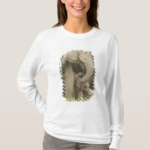 T-shirts Elefante indiano / asiático e filhote, Corbett 3