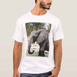 T-shirts Elefante (Loxodonta africana), Canal de Savute