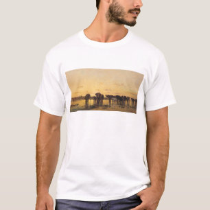 T-shirts Elefantes africanos