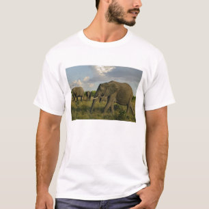 T-shirts Elefantes africanos pastando, Loxodonta africana,