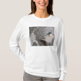 T-shirts Elevações ricas de uma pena da cinza