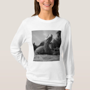 T-shirts Equador, Parque Nacional Ilhas Galápagos, Santa