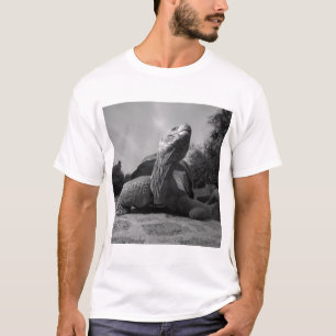 T-shirts Equador, Parque Nacional Ilhas Galápagos, Santa
