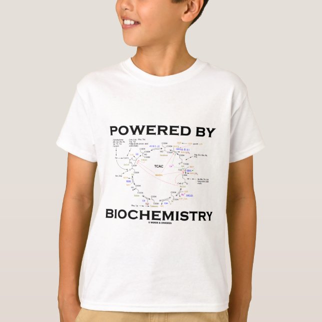T-shirts Equipado Com Bioquímica (Ciclo De Krebs) (Frente)