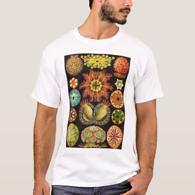 T-shirts Ernst Haeckel - Ascidiae (Frente)