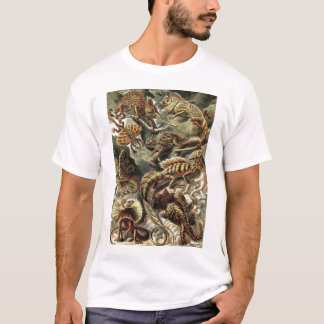 T-shirts Ernst Haeckel - lagartos de Lacertilia