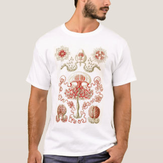 T-shirts Ernst Haeckel - medusa de Anthomedusae