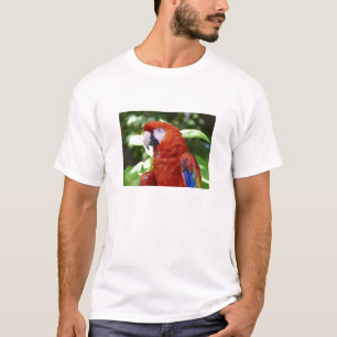 T-shirts Escarlate do Macaw