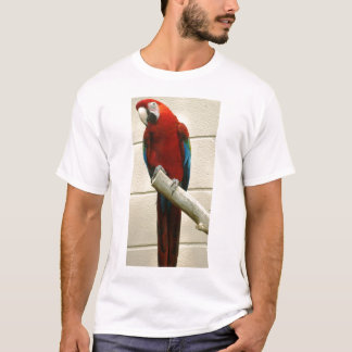 T-shirts Escarlate do Macaw