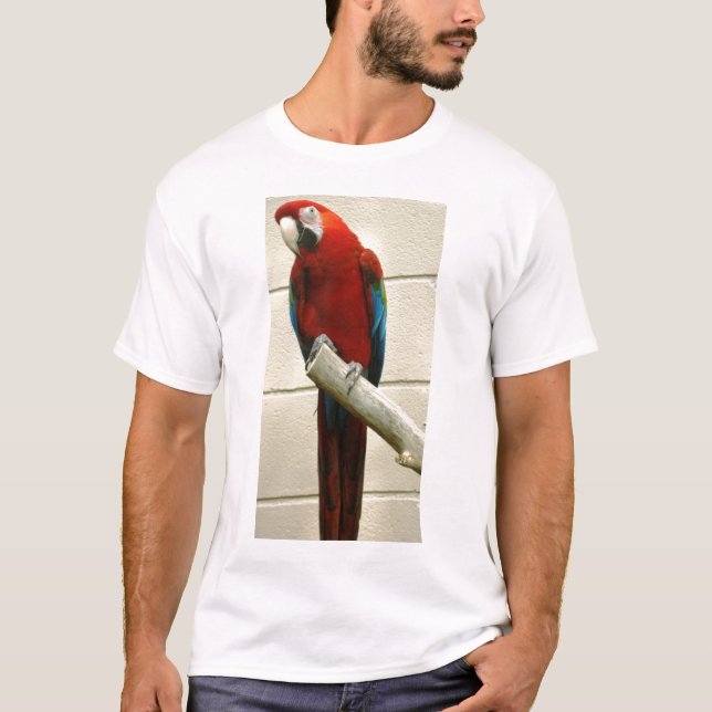 T-shirts Escarlate do Macaw (Frente)