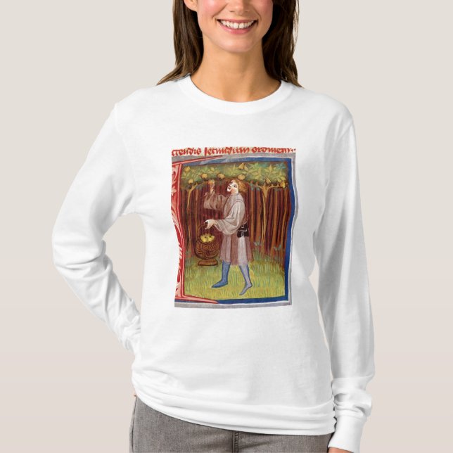 T-shirts Escolhendo a fruta (Frente)