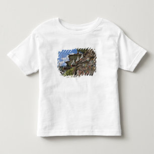 T-shirts Escrita butanesa em rochas e chortens nepaleses