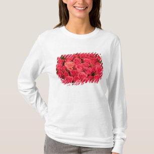 T-shirts ESLOVÊNIA, Liubliana: Mercado Público de Liubliana