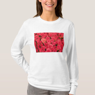 T-shirts ESLOVÊNIA, Liubliana: Mercado Público de Liubliana