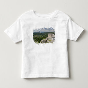 T-shirts ESLOVÊNIA, STAJERSKA Styria), Celje: Vista de Cid