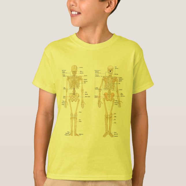 T-shirts Esqueleto humano etiquetado carta da anatomia (Frente)