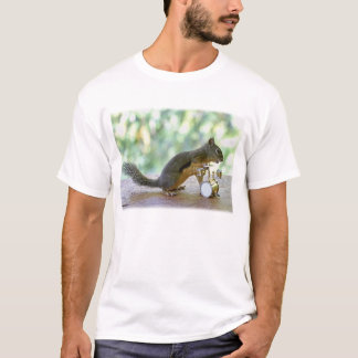 T-shirts Esquilo que joga cilindros
