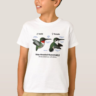 T-shirts estatísticas Rubi-throated do colibri