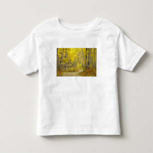 T-shirts Estrada com cores de outono e espaços em Kebler 2
