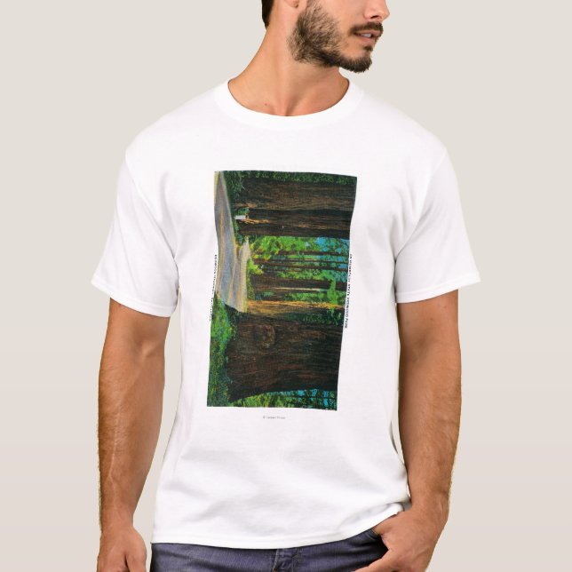 T-shirts Estrada da sequóia vermelha no parque da sequóia (Frente)