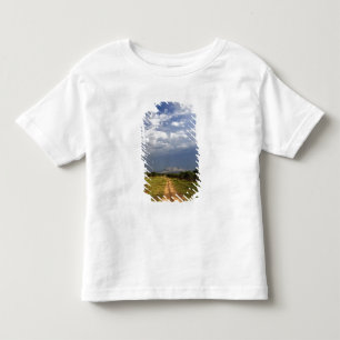 T-shirts Estrada de terra primitiva no norte