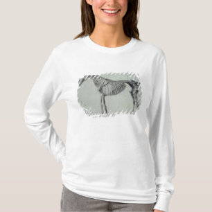 T-shirts Estudo terminado de George Stubbs para o quinto