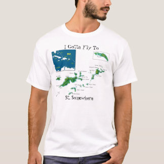 T-shirts Eu consegui voar em algum lugar ao St.
