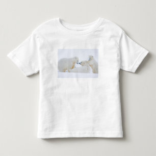 T-shirts EUA, Alasca, 1002 Planície Costeira do Ártico