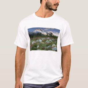 T-shirts EUA, Alasca, Deserto de Alsek-Tatshenshini. Vista
