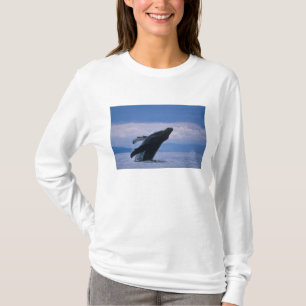 T-shirts EUA, Alasca, Floresta Nacional Tongass, Jubarte