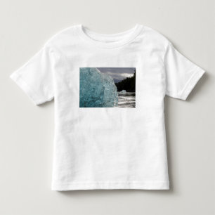 T-shirts EUA, Alasca, Floresta Nacional Tongass, Tracy 2