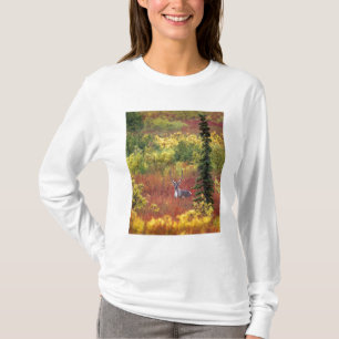 T-shirts EUA, Alasca, Parque Nacional Denali. Caribu