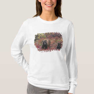 T-shirts EUA, Alasca, Parque Nacional Denali. Urso pardo