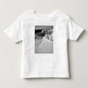 T-shirts EUA, Alasca, Parque Nacional Denali, Vista aérea