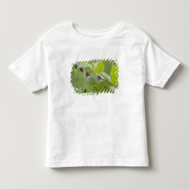 T-shirts EUA, Alasca, Parque Nacional Glacier Bay. (Frente)