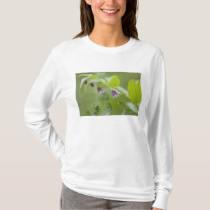 T-shirts EUA, Alasca, Parque Nacional Glacier Bay.