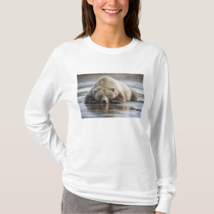 T-shirts EUA, Alasca, Parque Nacional Katmai, Urso Pardo
