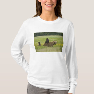 T-shirts EUA, Alasca, Parque Nacional Lake Clark