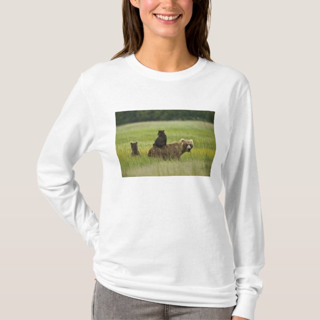 T-shirts EUA, Alasca, Parque Nacional Lake Clark (Frente)
