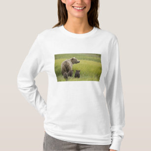 T-shirts EUA, Alasca, Parque Nacional Lake Clark. Urso-pard