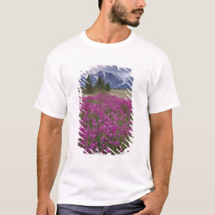 T-shirts EUA, Alasca, Vale do Rio Alsek. Vista de
