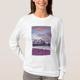 T-shirts EUA, Alasca, Vale do Rio Alsek. Vista de Alsek