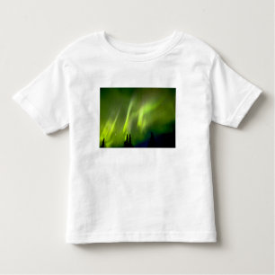 T-shirts EUA, Alaska, Chena Hot Primaveras.Aurora 3