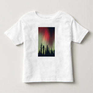 T-shirts EUA, área de Fairbanks, Alaska Central, Aurora