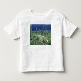 T-shirts EUA, Arizona, Organ Pipe Cactus National