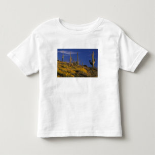 T-shirts EUA, Arizona, Organ Pipe Cactus National 2