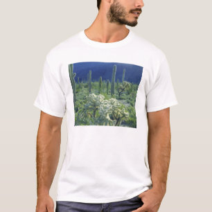 T-shirts EUA, Arizona, Parque Nacional do Cacto Organ Pipe