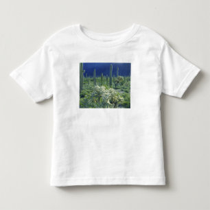 T-shirts EUA, Arizona, Parque Nacional Organ Pipe Cactus