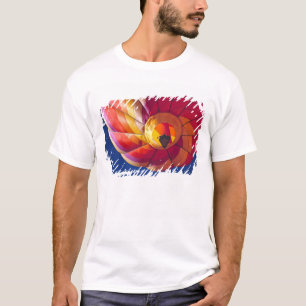 T-shirts EUA, Arizona, Val Vista. Um balão de ar quente col